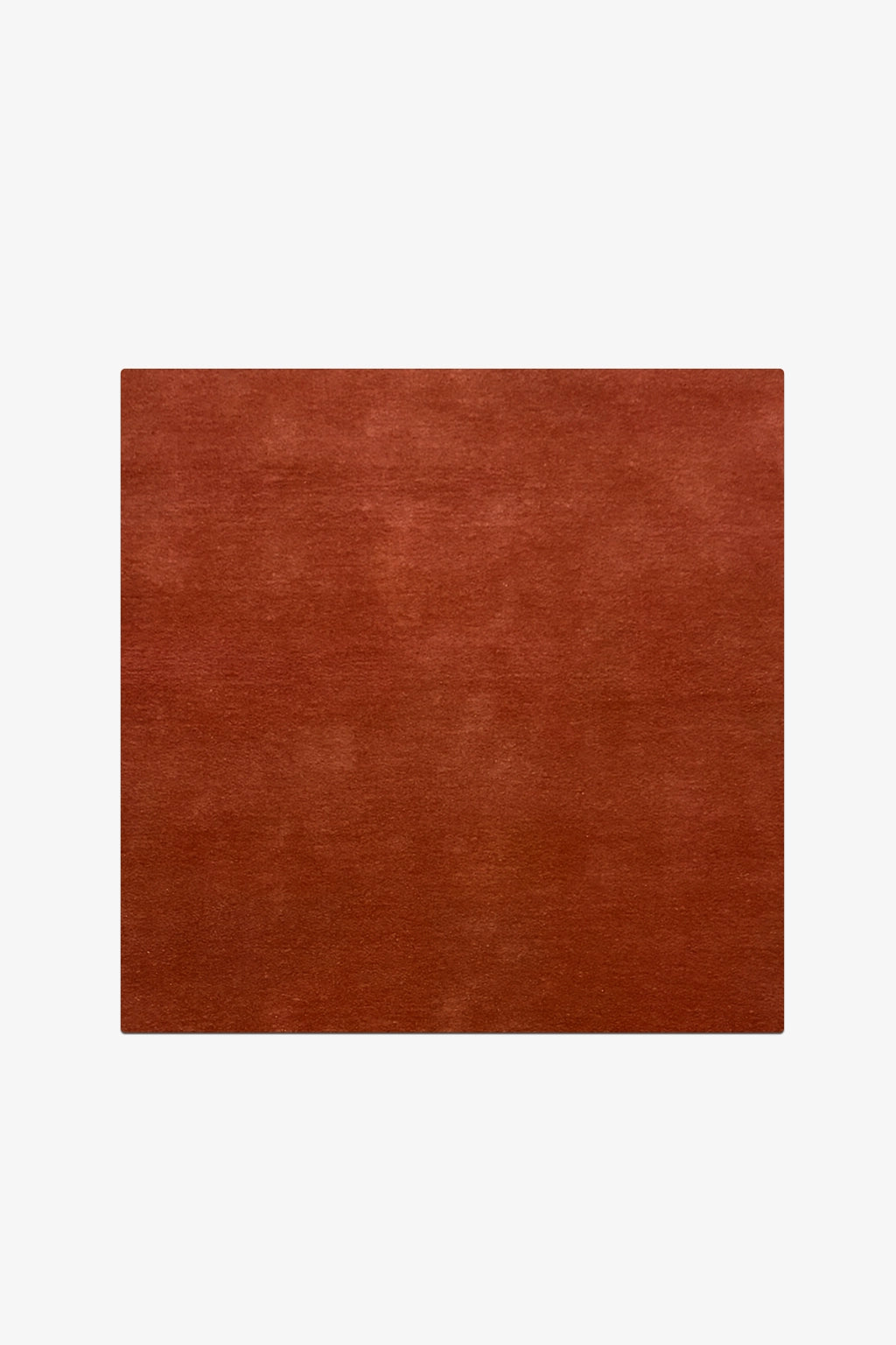 Burnt Orange Rug Swatch